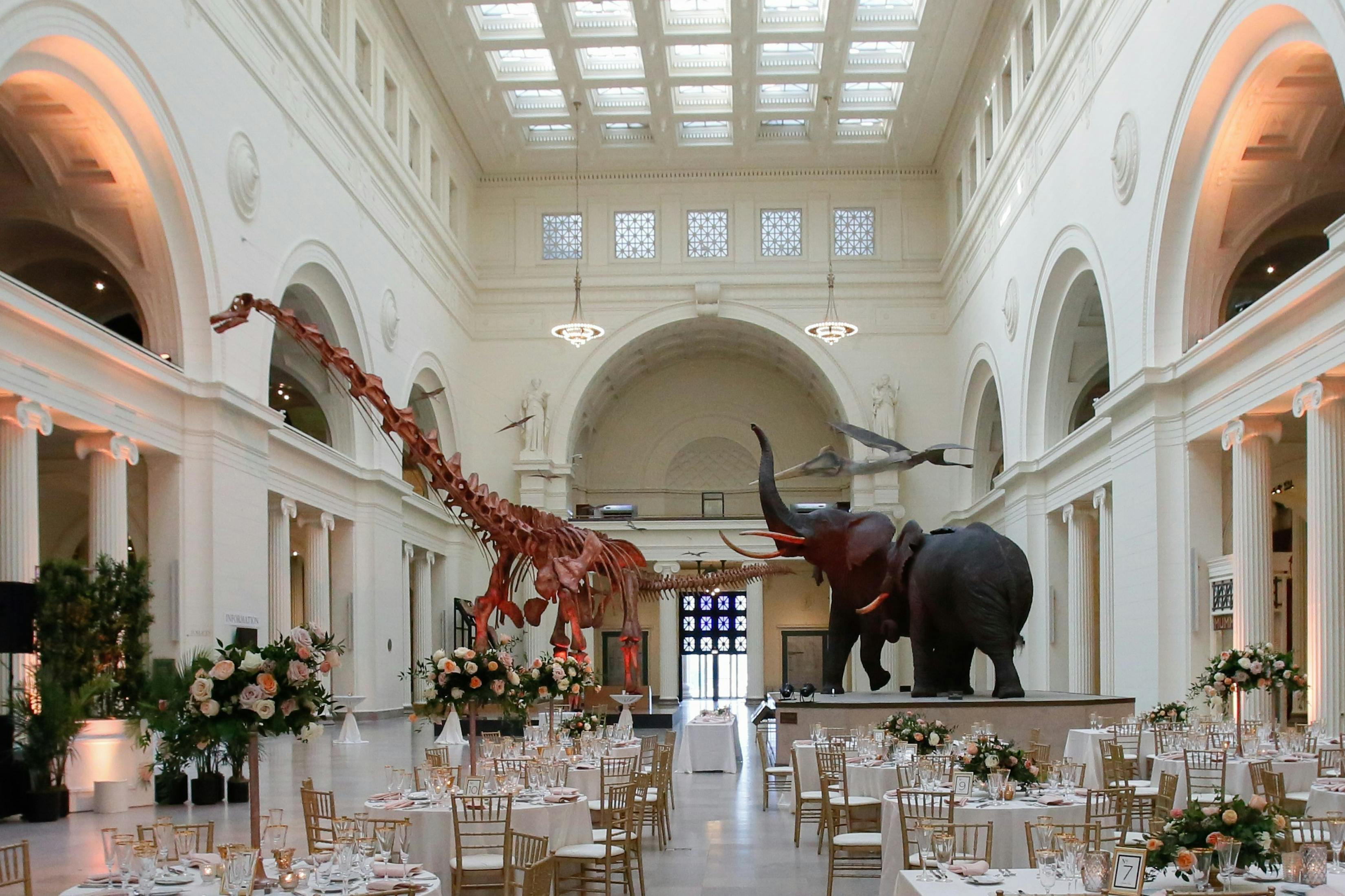 Field Museum Chicago Venue All Events 825 photos on PartySlate