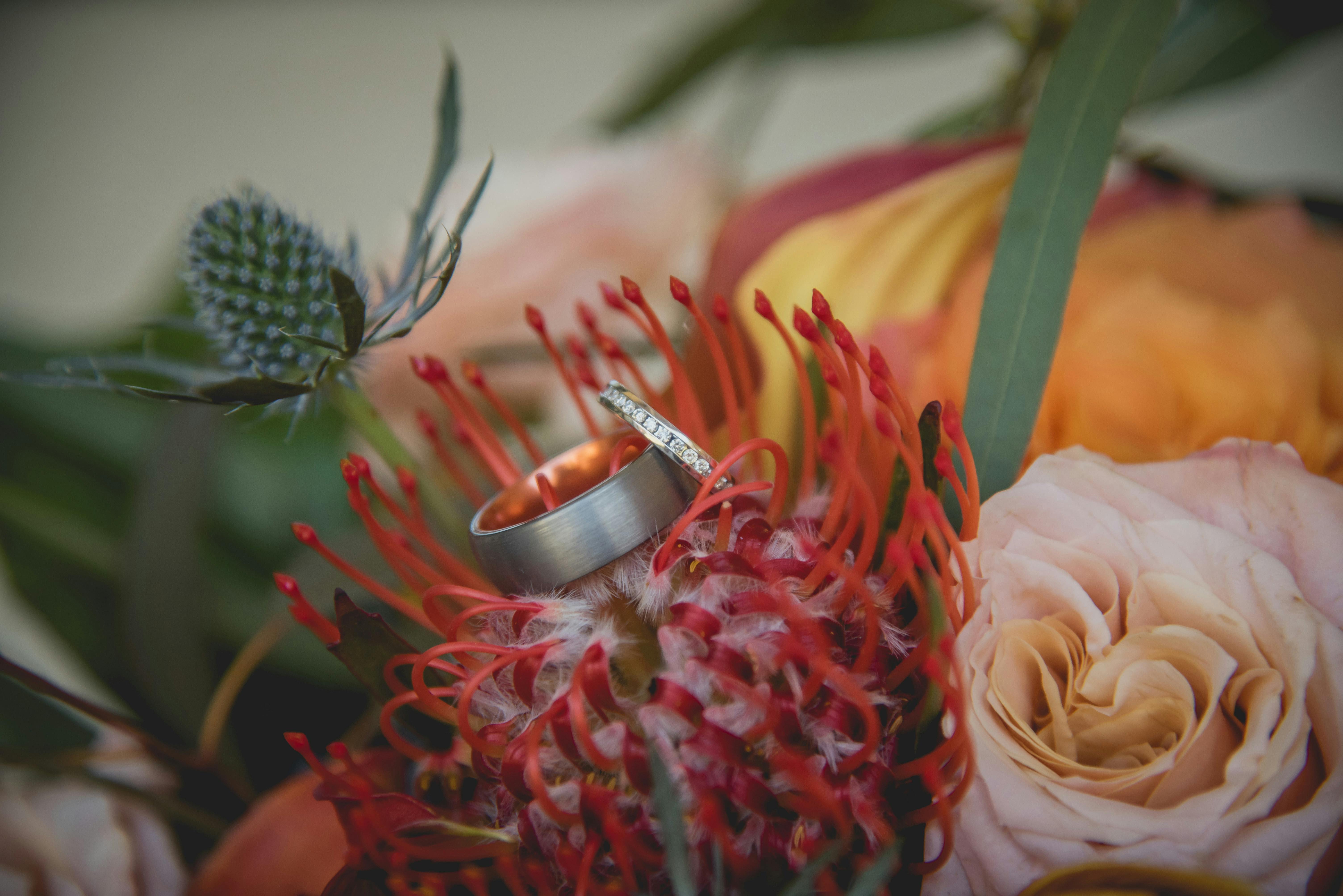 Featured photo from Northern Red Photography