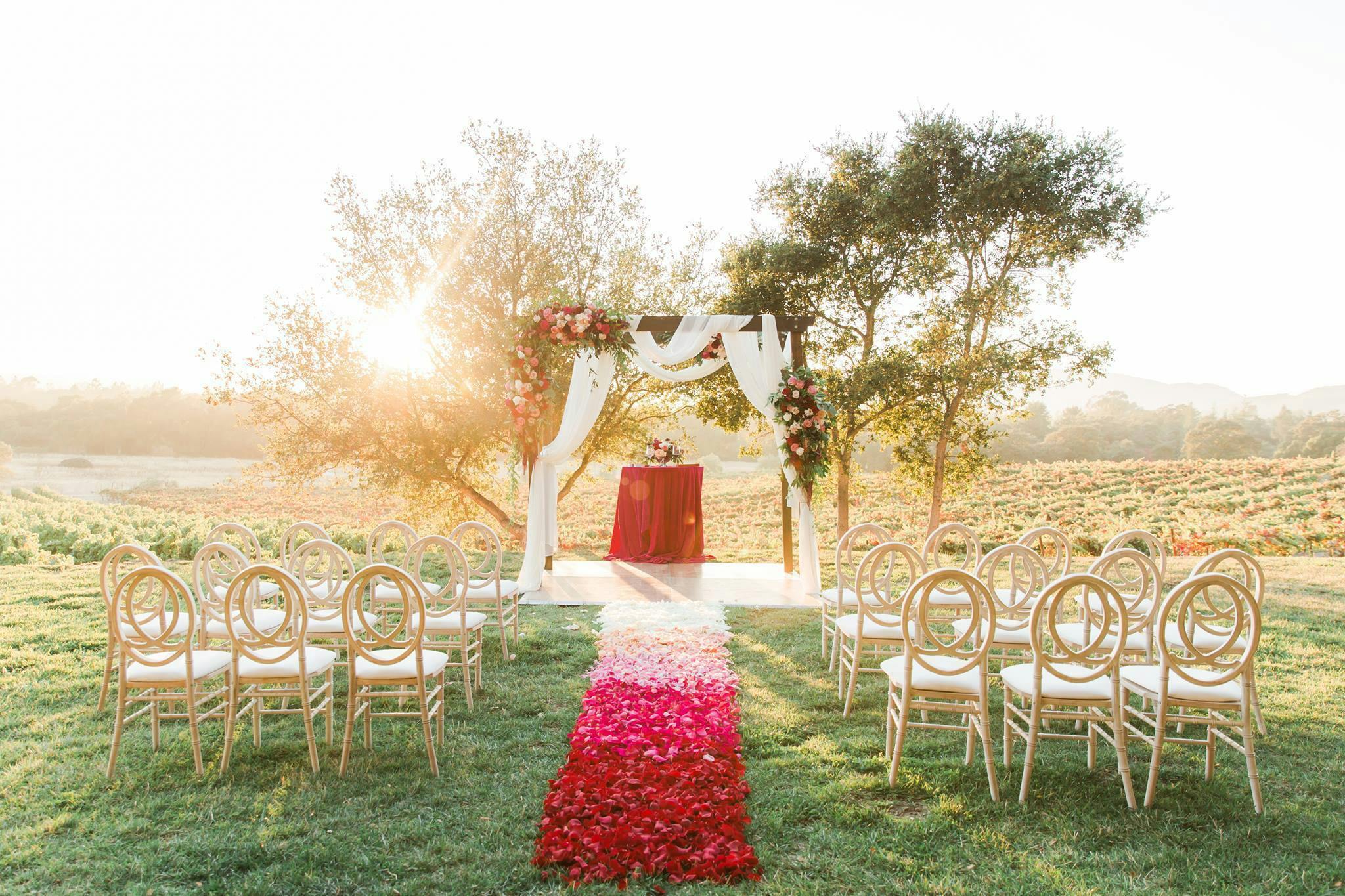 Cover photo of Tyler Chase Collective