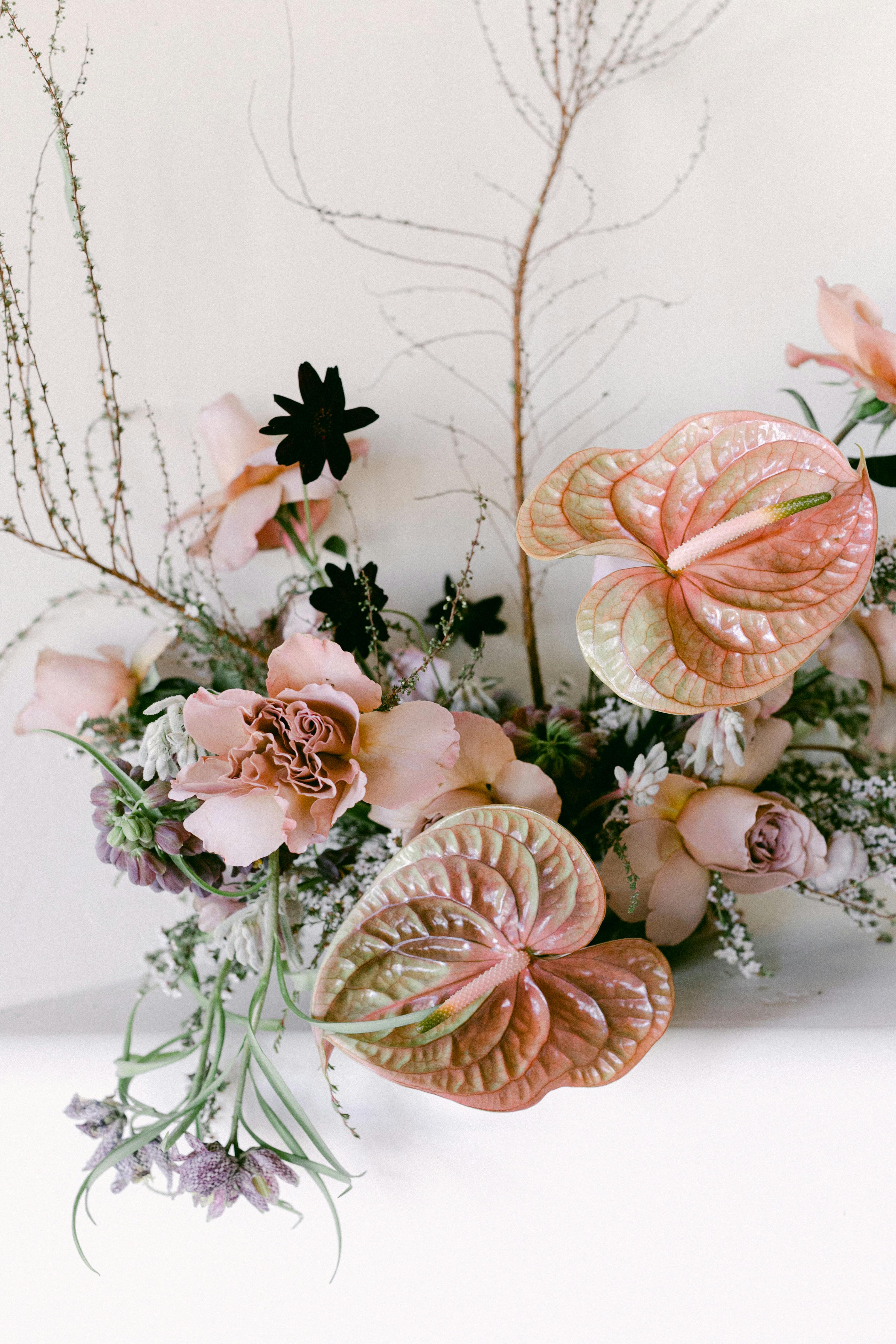 Cover photo of The Wildflower AZ