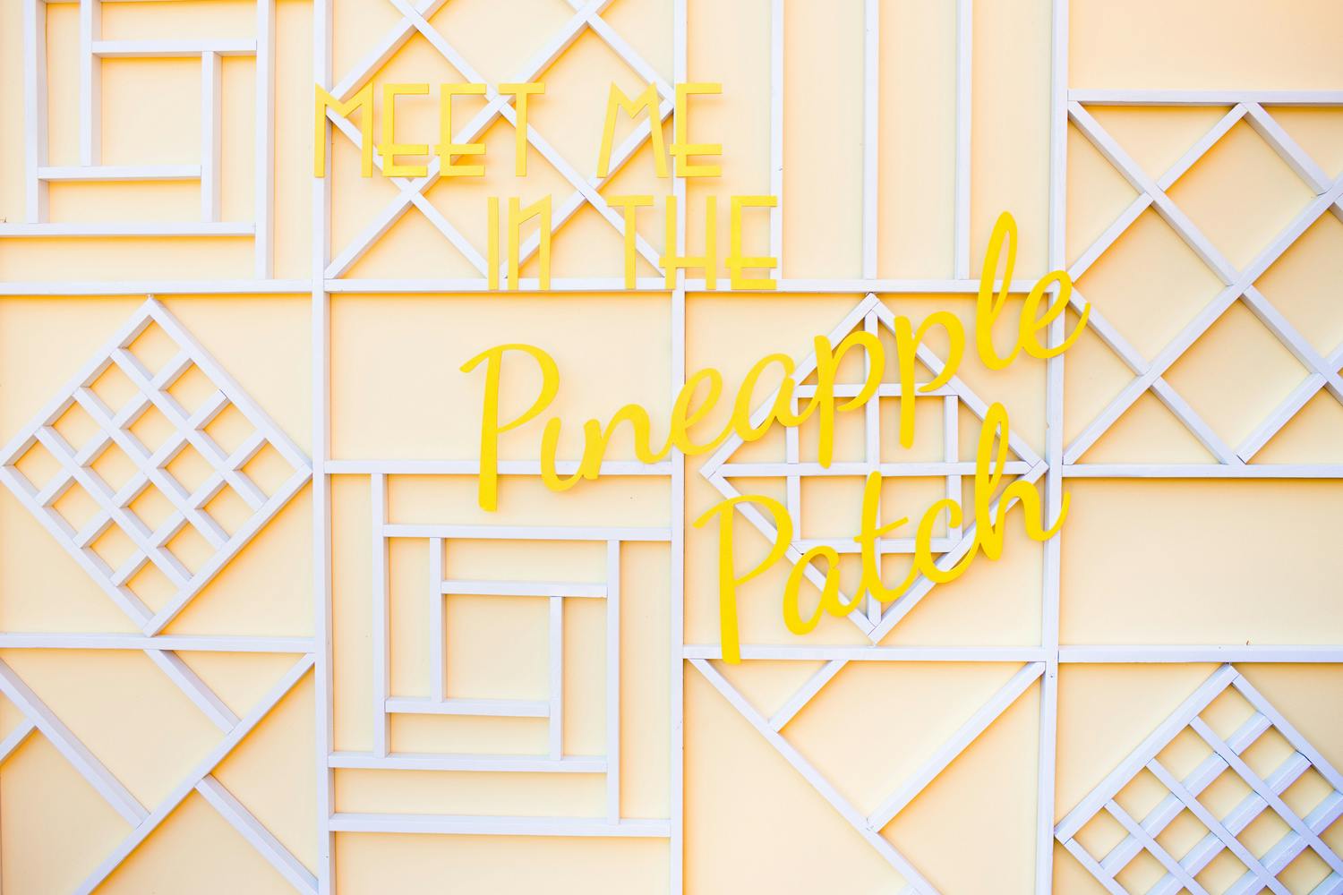 Back Up Backdrops | San Diego Design & Floral | PartySlate