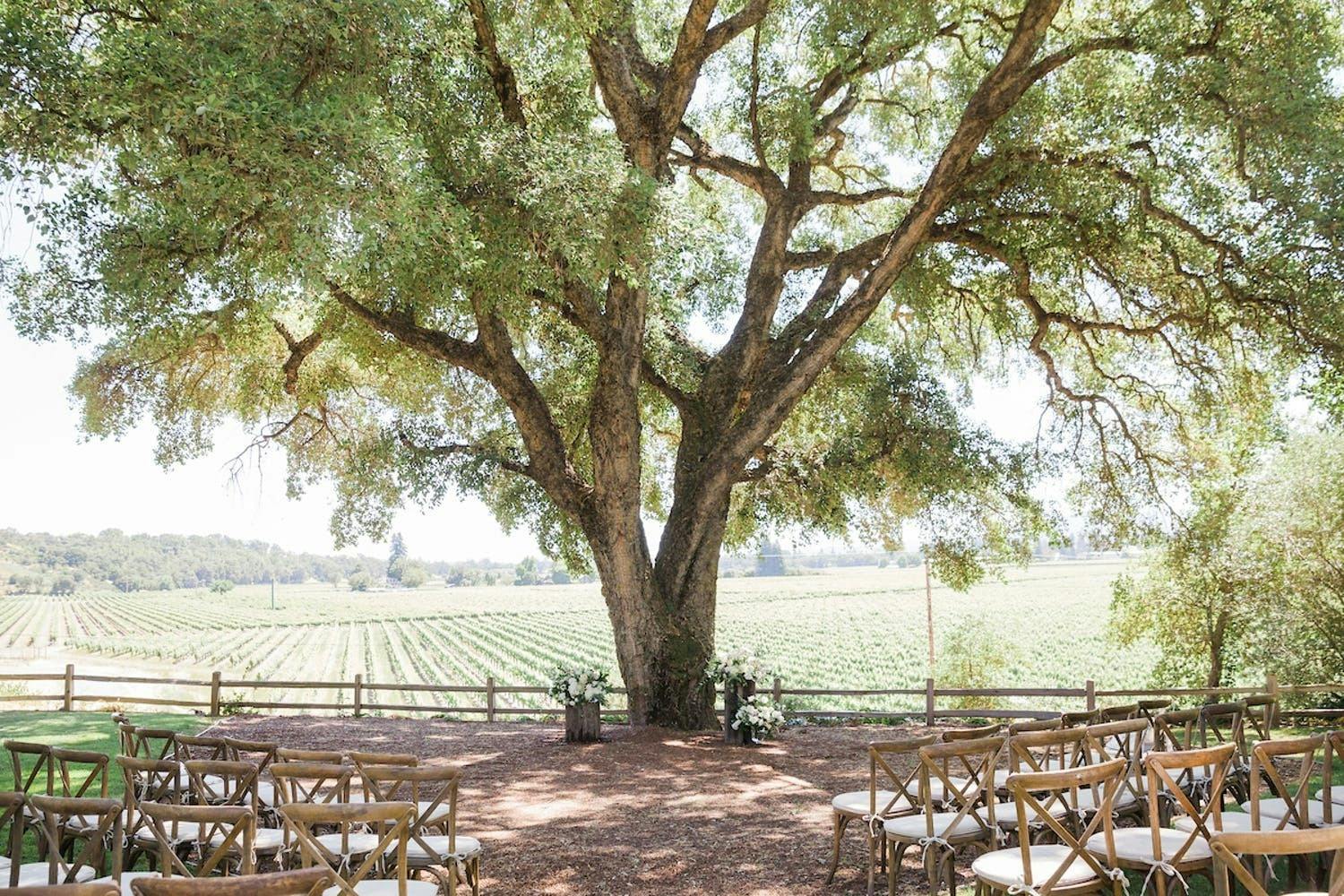 Featured photo from Ru's Farm