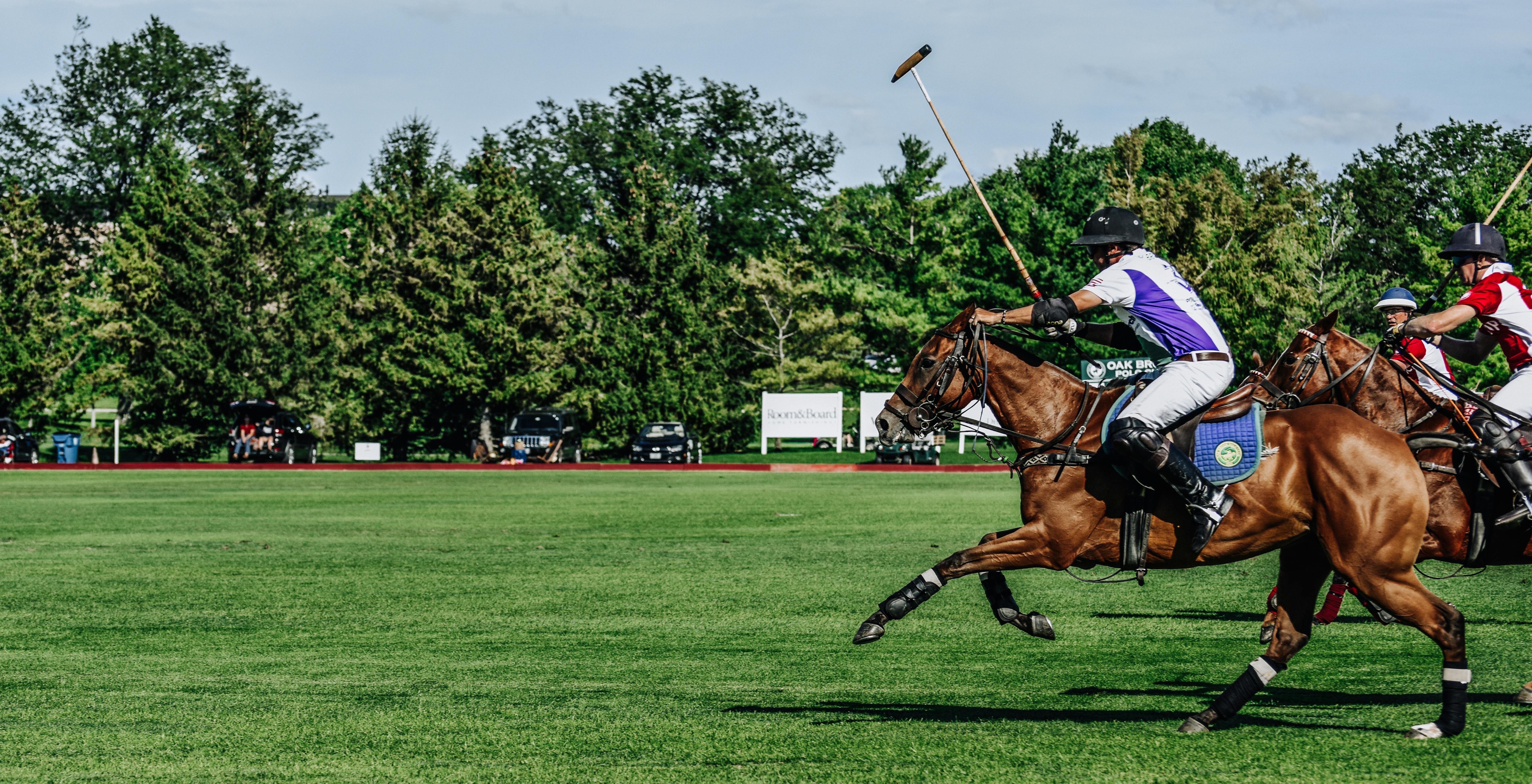 Featured photo from Oak Brook Polo Club