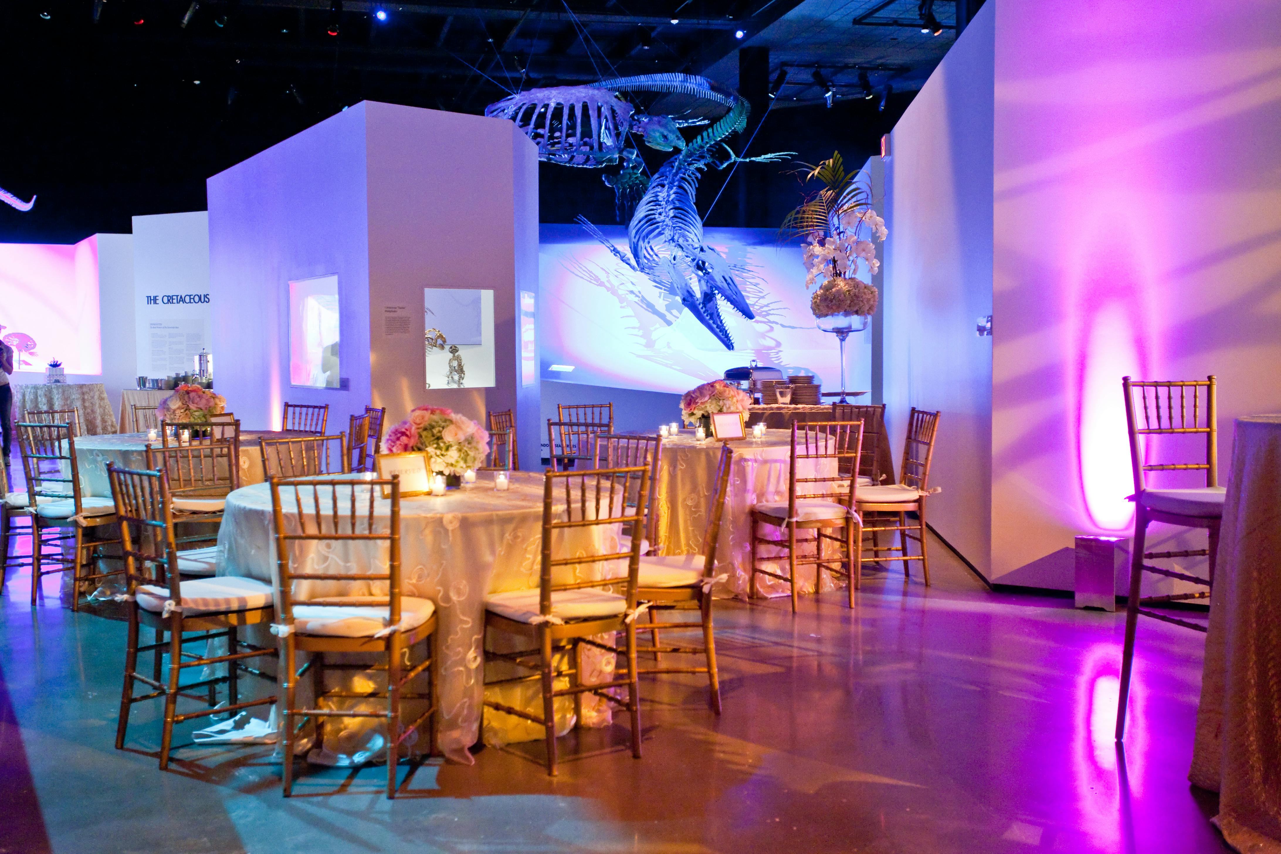 Houston Museum Of Natural Science | Houston Venue | All Events | 72 ...