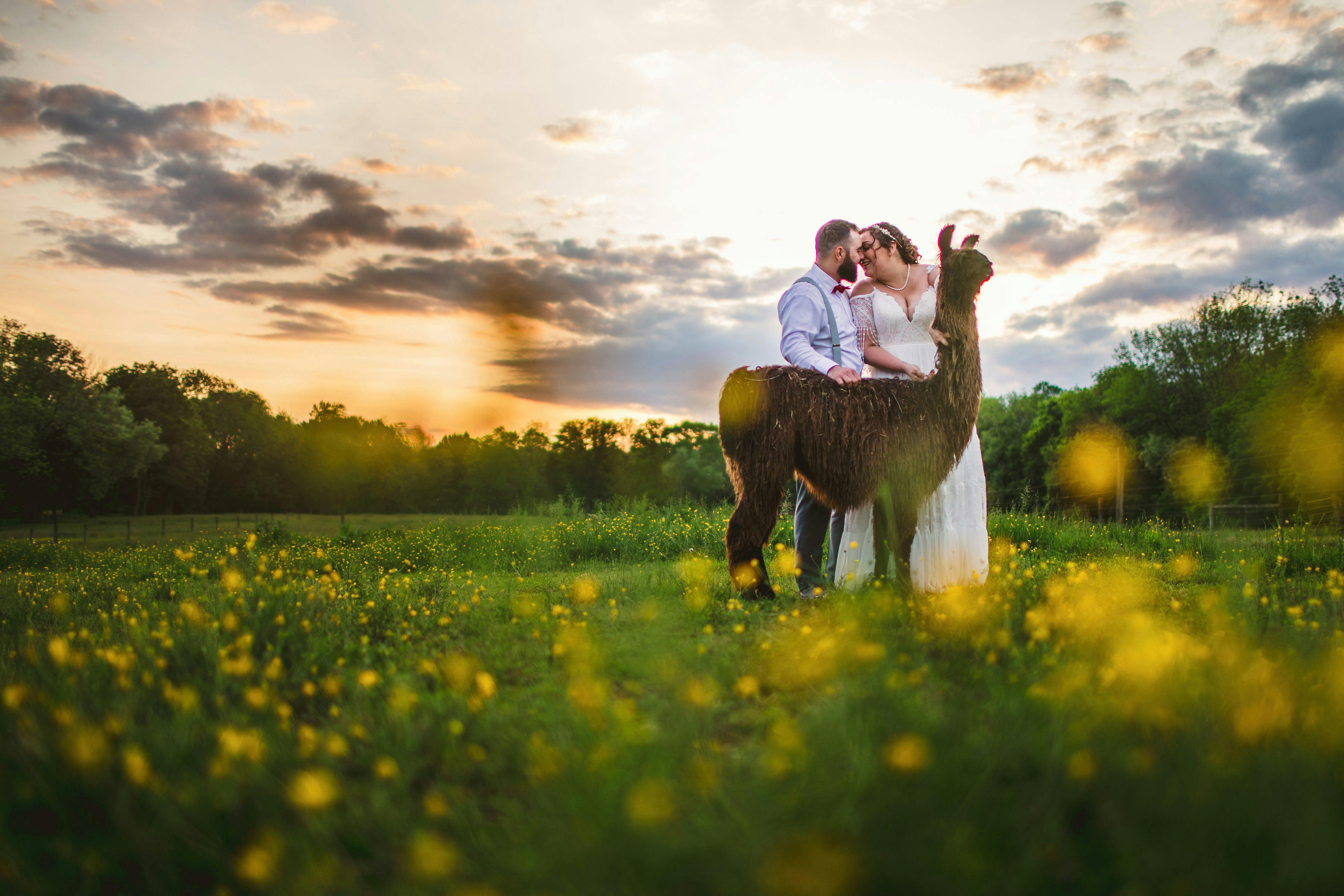 Cover photo of WoodsEdge Farm Weddings & Events