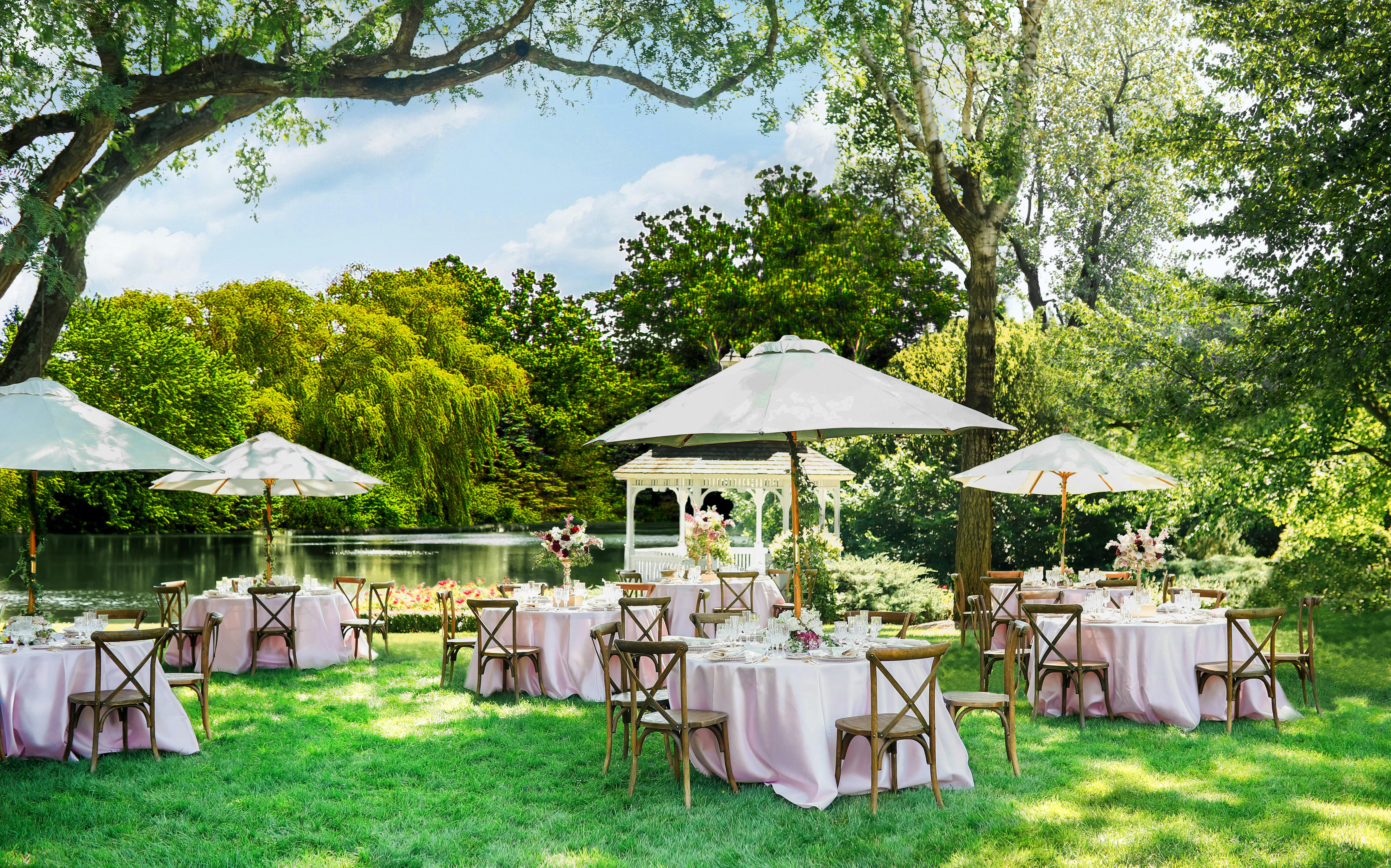 Featured photo from Wandering Tree Estate