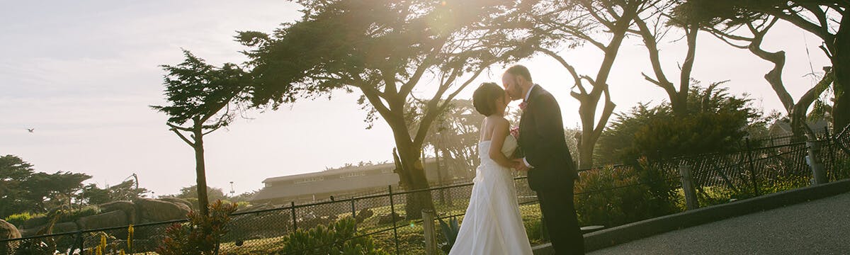 Featured photo from San Francisco Zoo