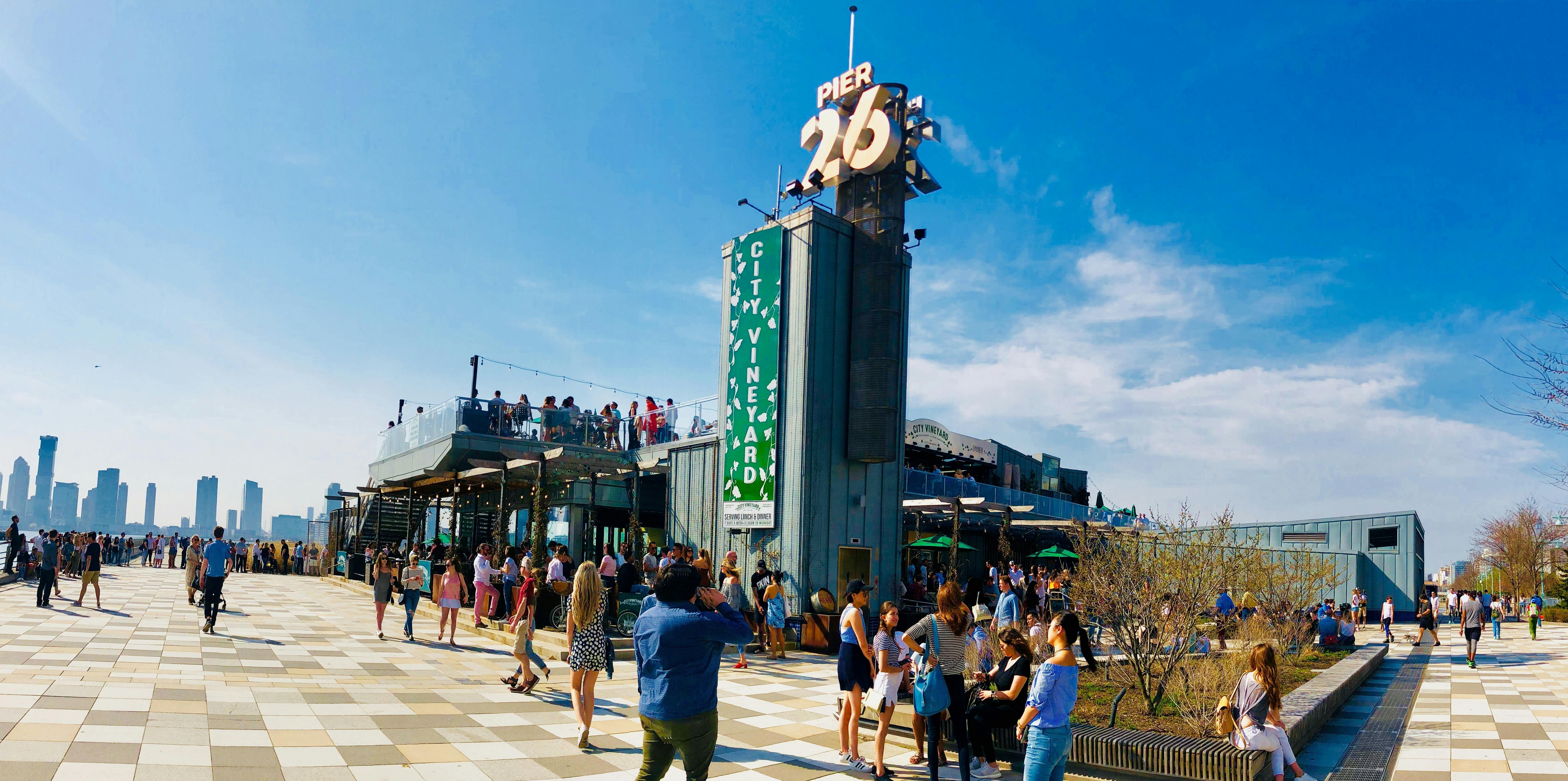 Cover photo of City Vineyard