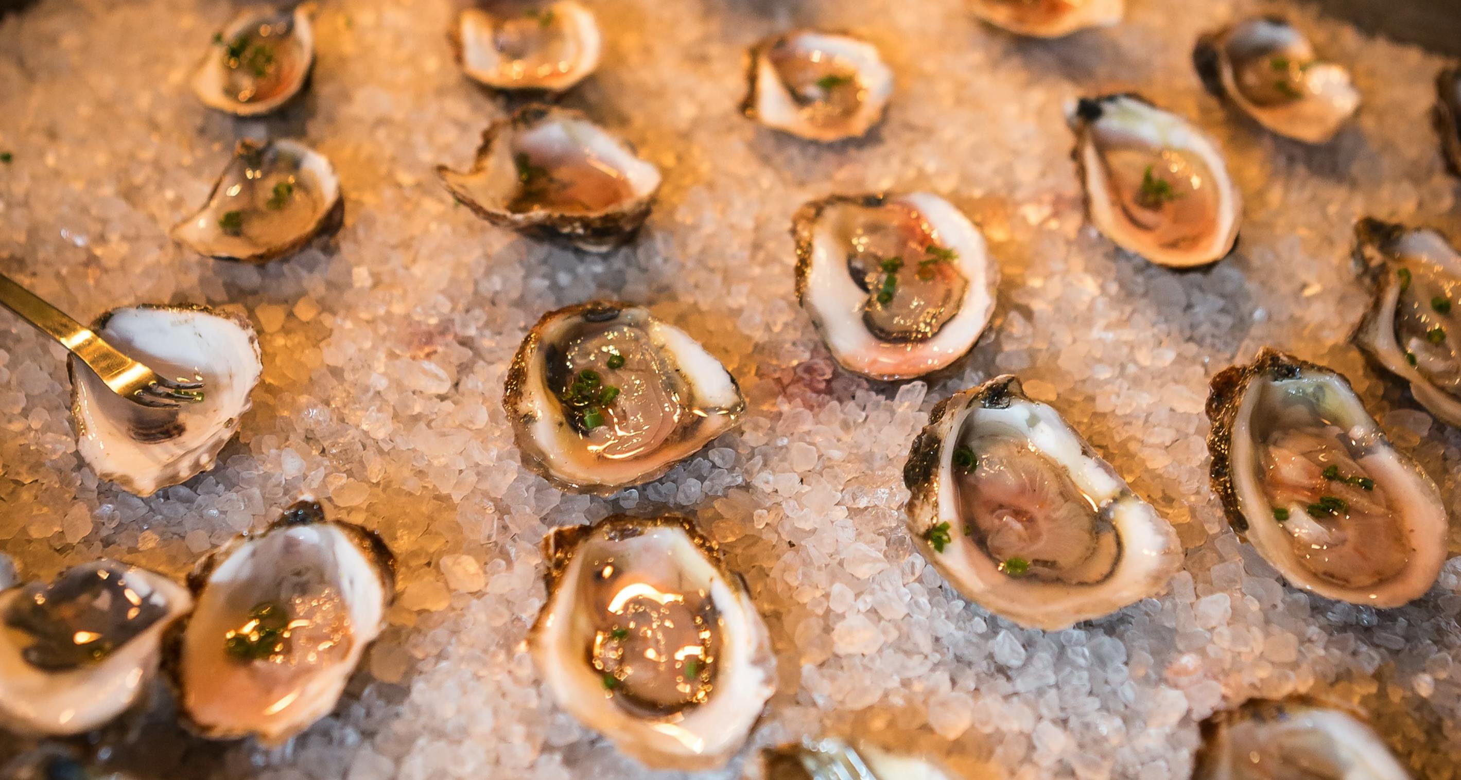 Featured photo from Harvest Catering