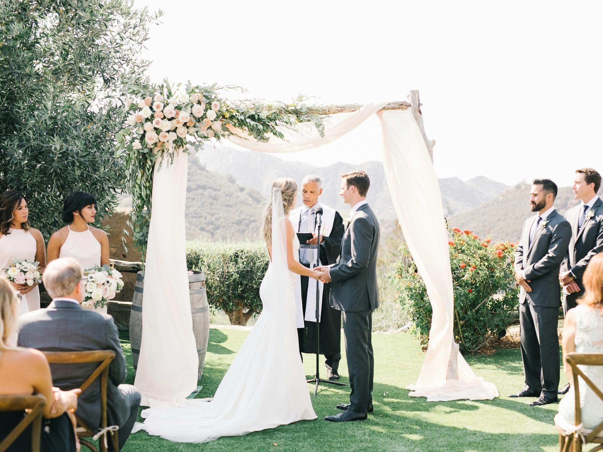 Featured photo from Cielo Farms