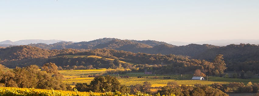 Featured photo from Chalk Hill Winery