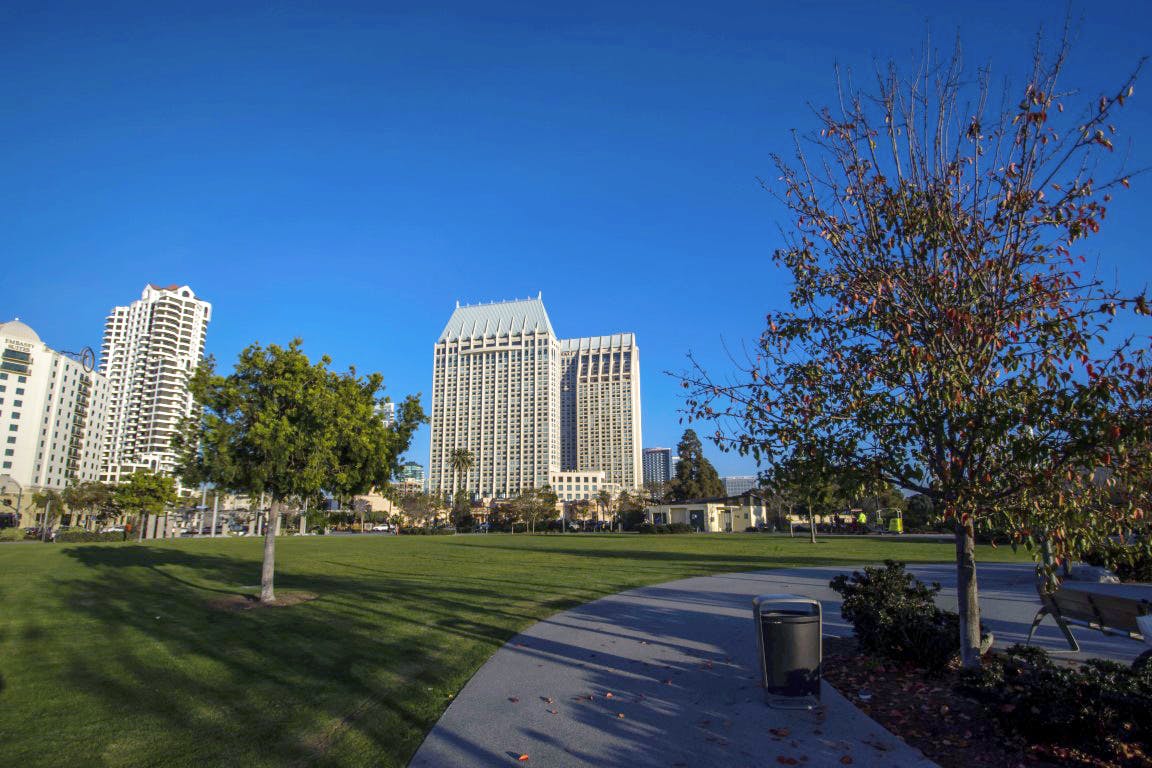 Featured photo from Ruocco Park