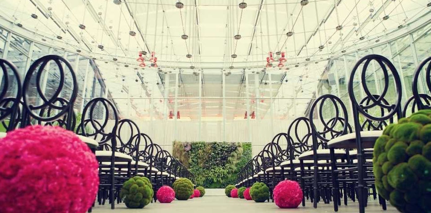 Featured photo from California Academy of Sciences