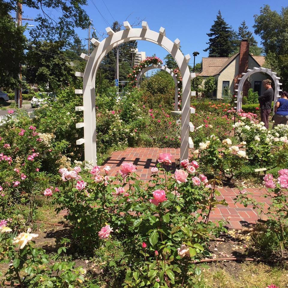 Featured photo from Luther Burbank Home & Gardens