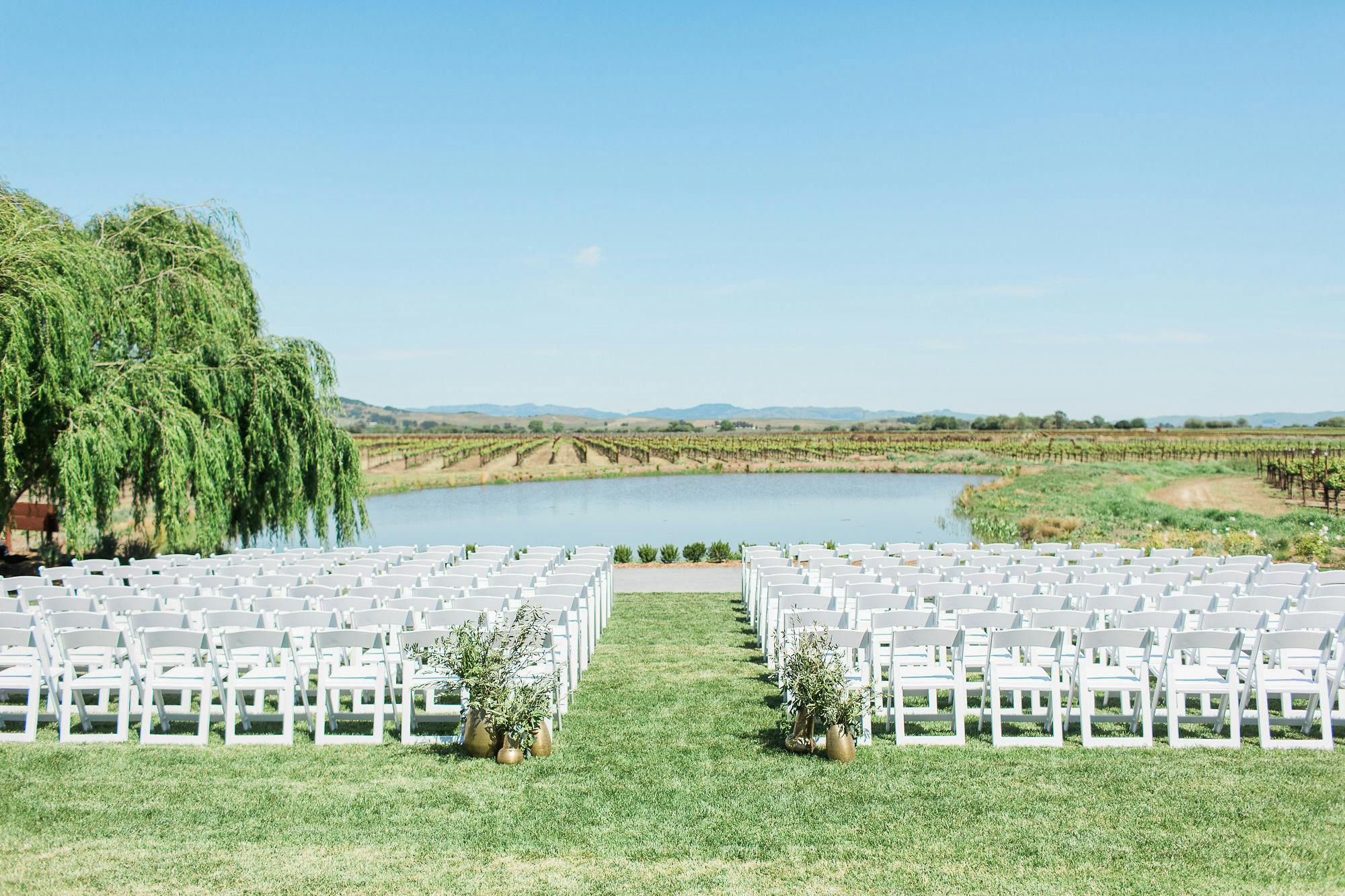 Featured photo from Tyge William Cellars