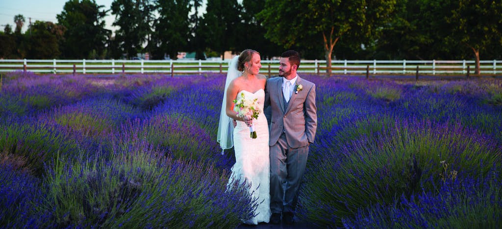 Featured photo from Pageo Lavender Farm