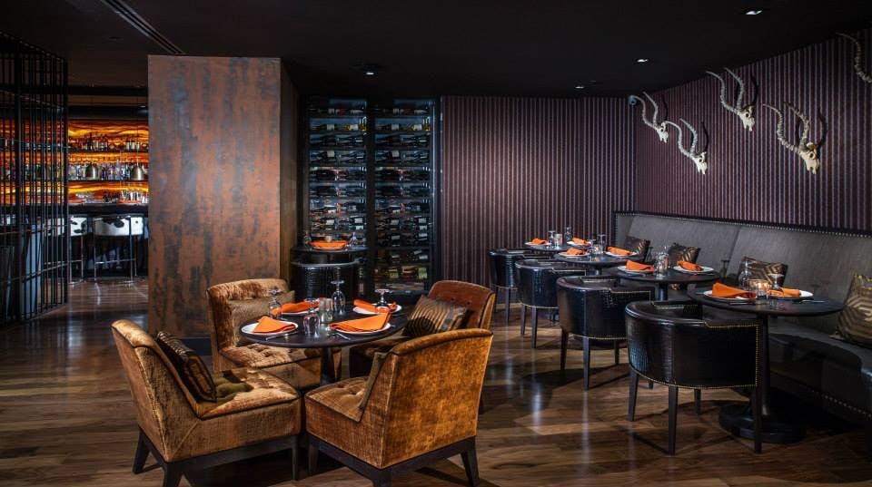 Toro Toro, Washington DC Washington Venue All Events 30 photos on PartySlate