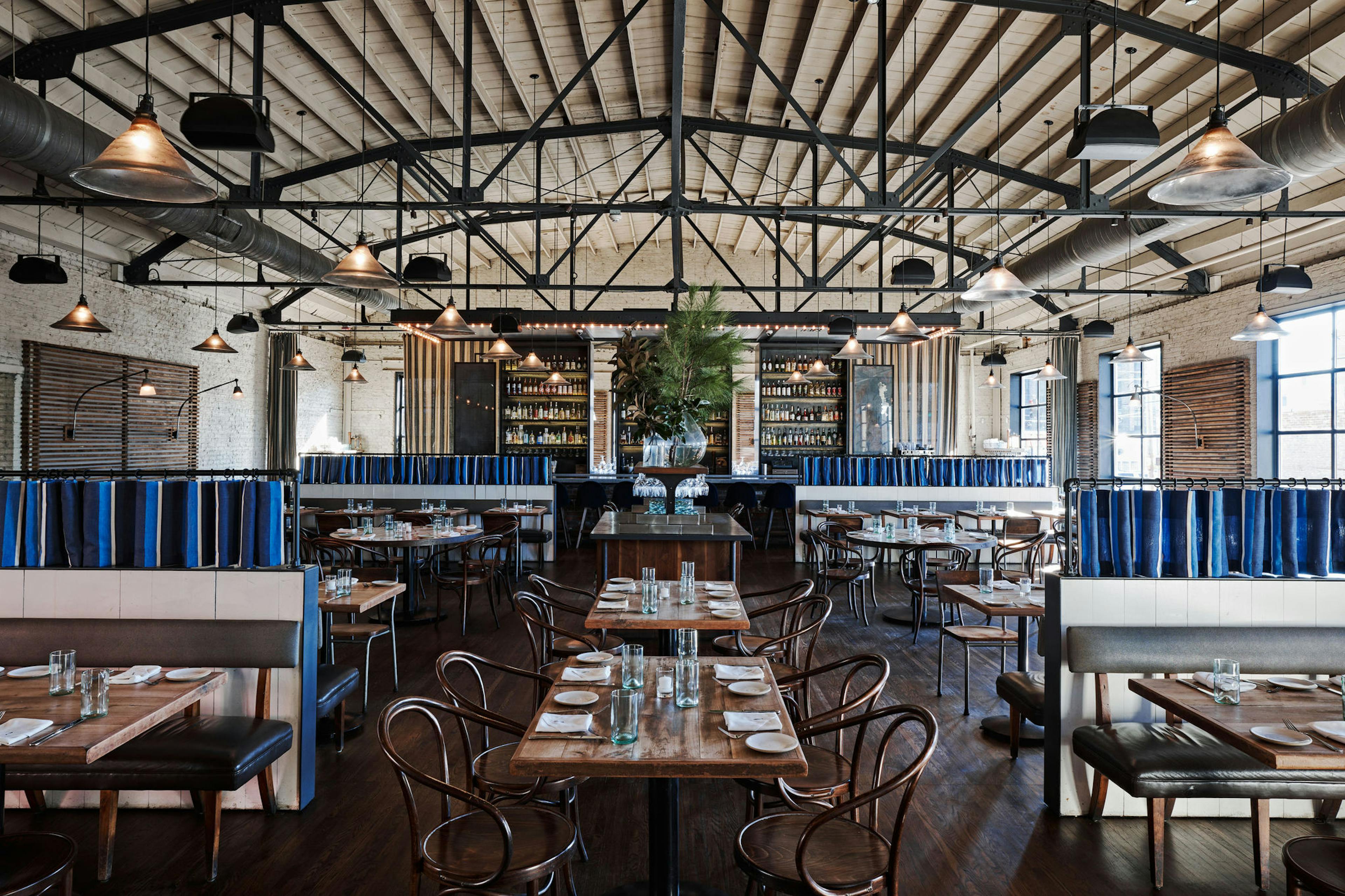 Cover photo of The Optimist