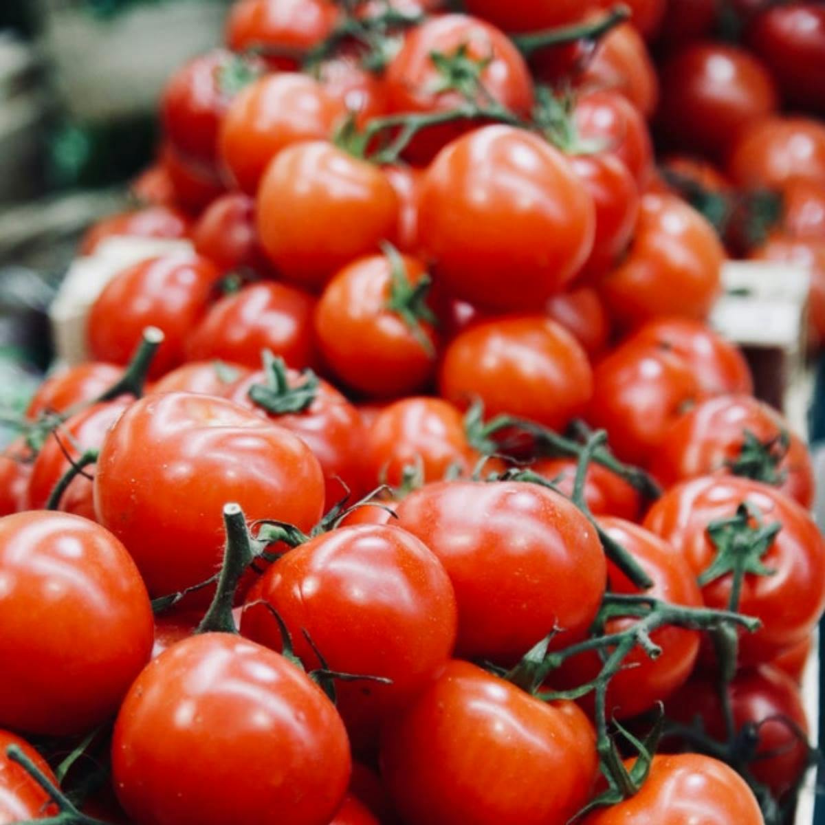 Featured photo from Italian Villa Allen