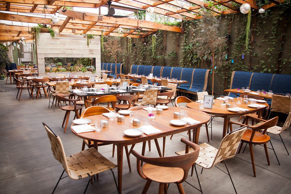 Featured photo from Hinoki & The Bird