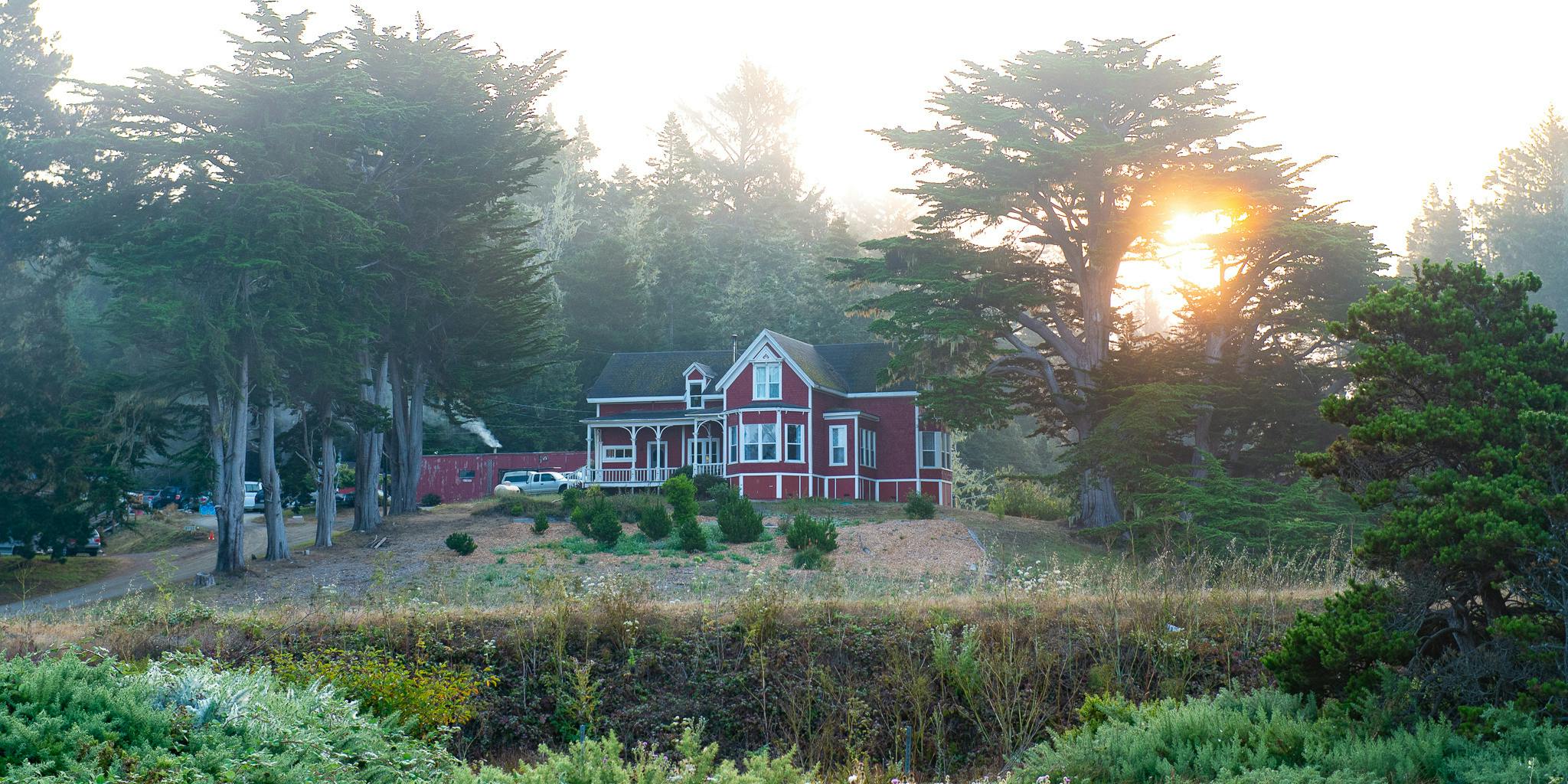 Featured photo from Jug Handle Creek Farm