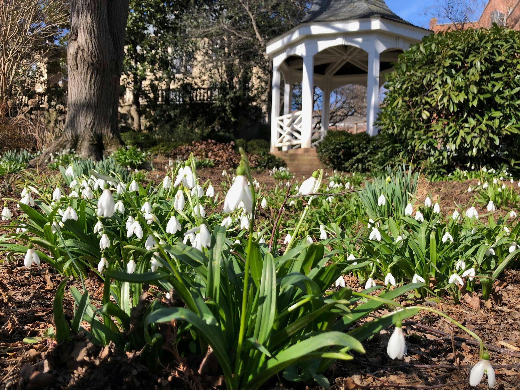 Featured photo from Carlyle House Historic Park