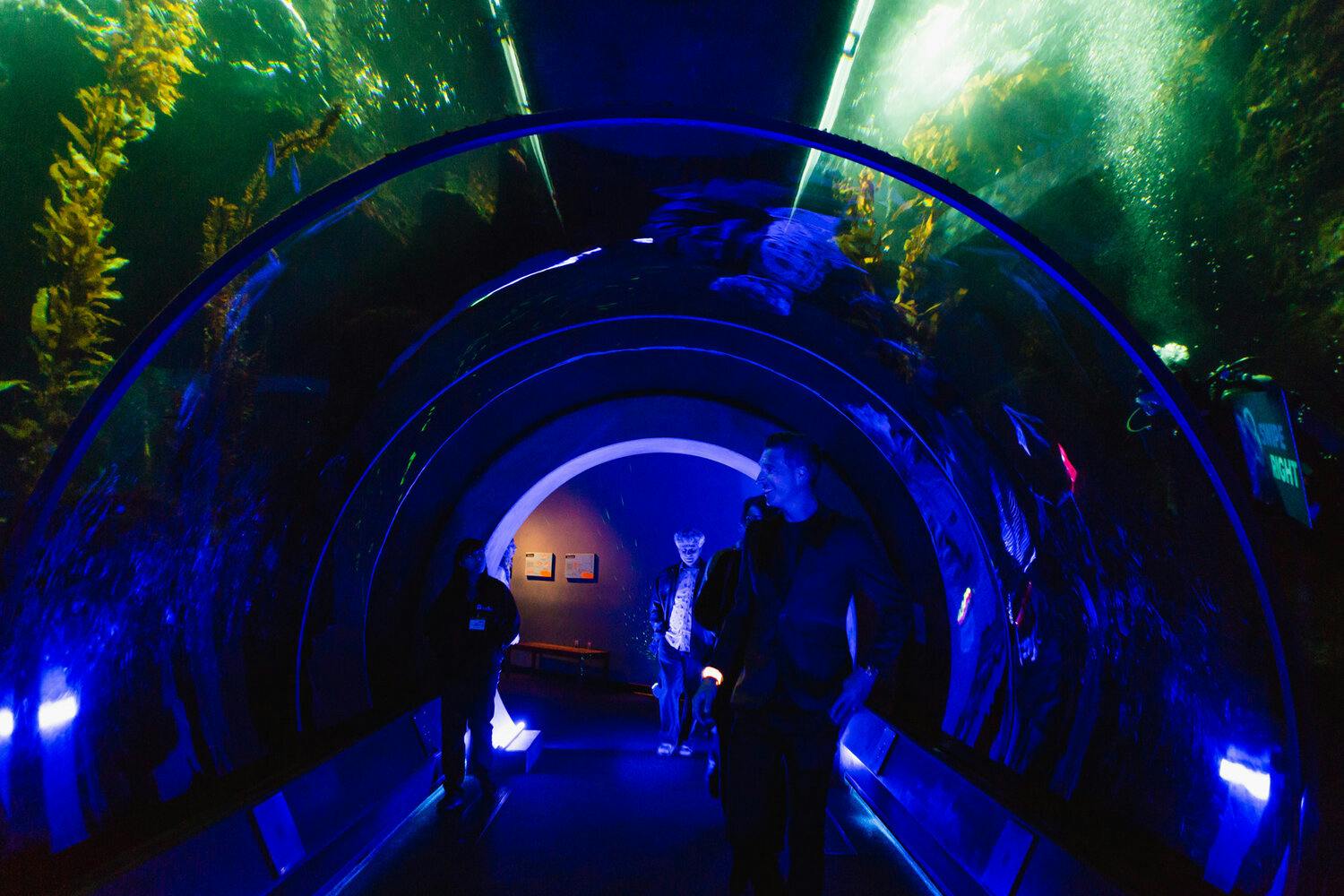 California Science Center Los Angeles Venue All Events 380 photos