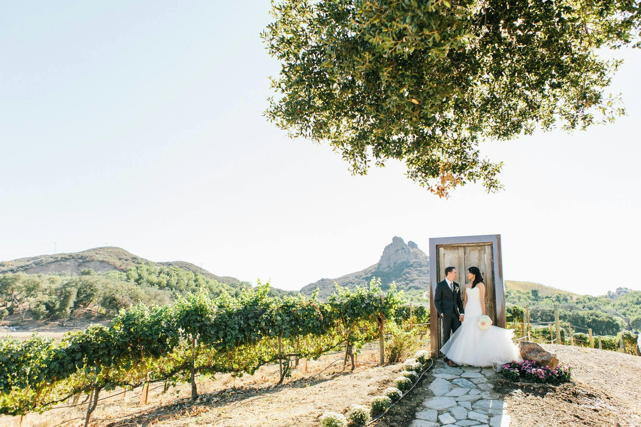 Cover photo of Trina Schmidt Weddings