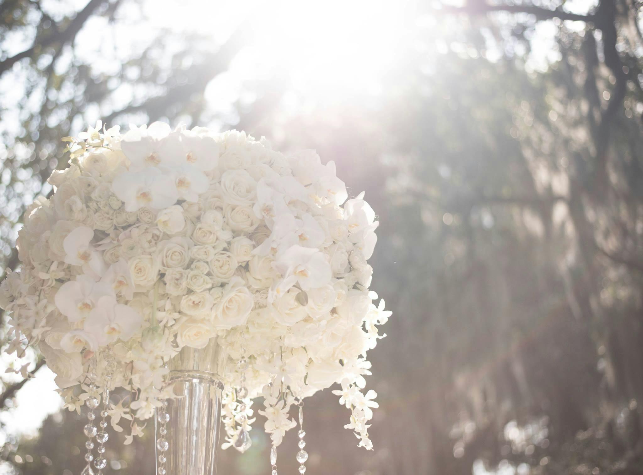 Featured photo from Bobbi Rice Weddings