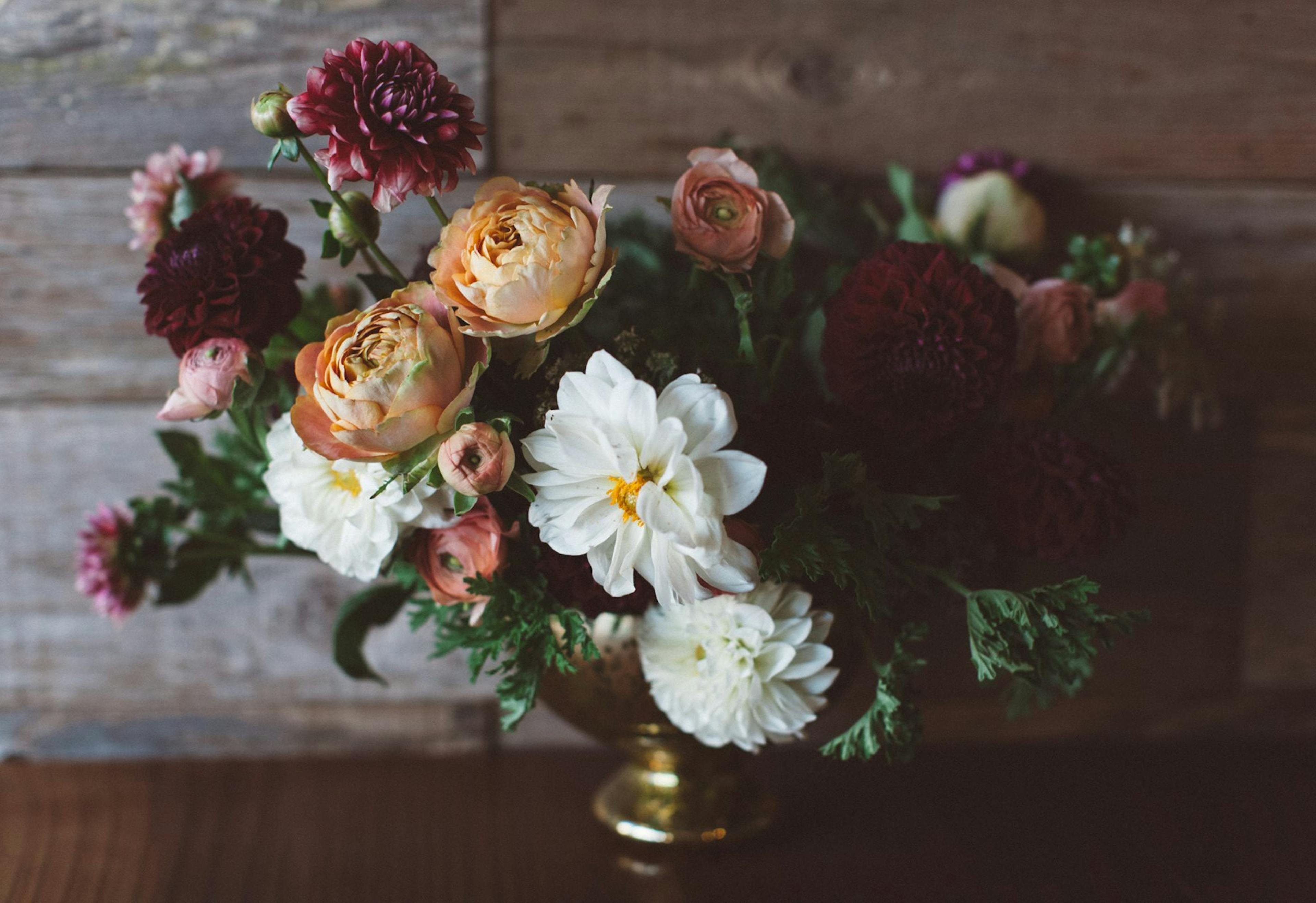 Cover photo of Bewilder Flower