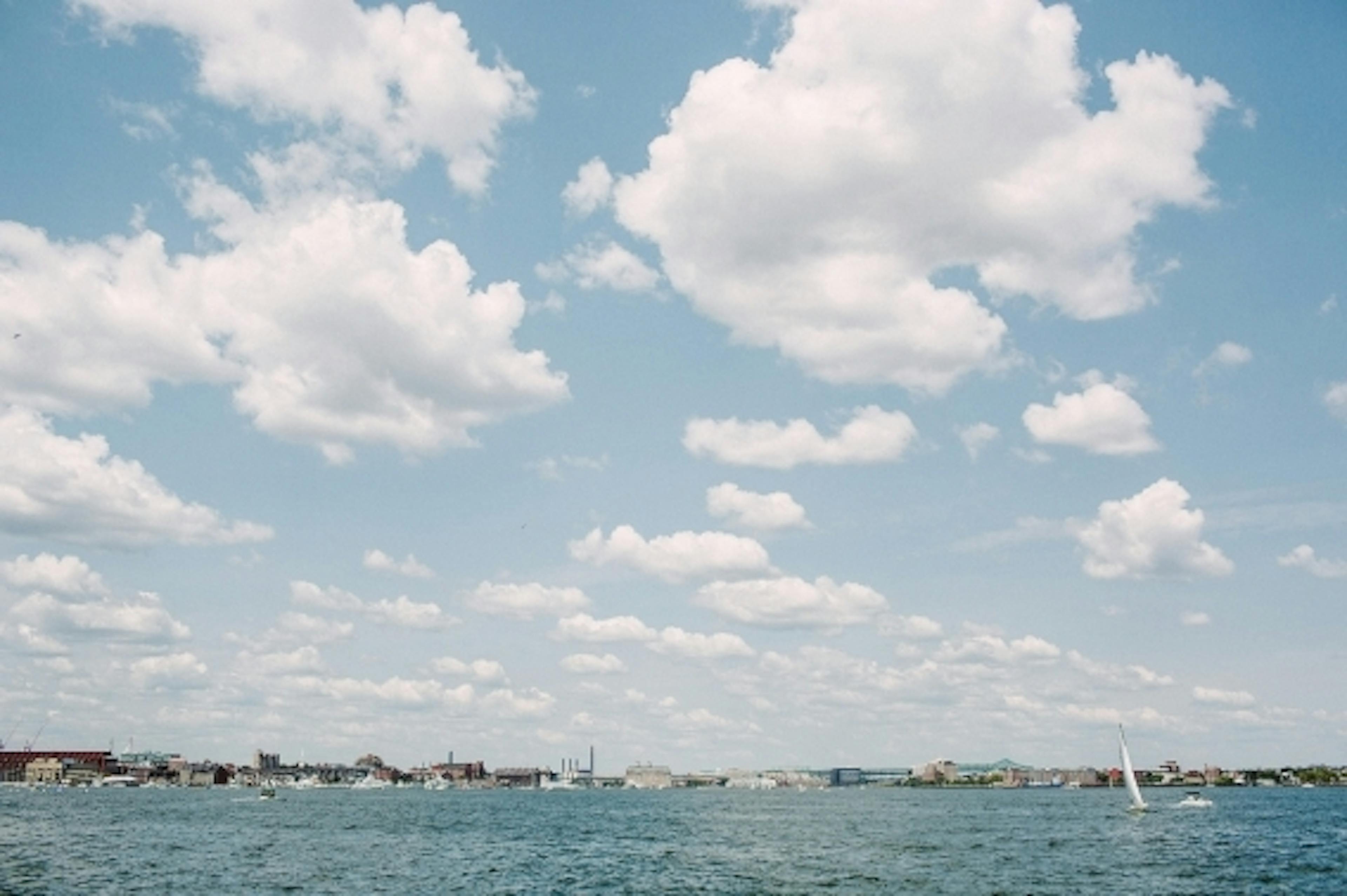 Cover photo of Bring to Light