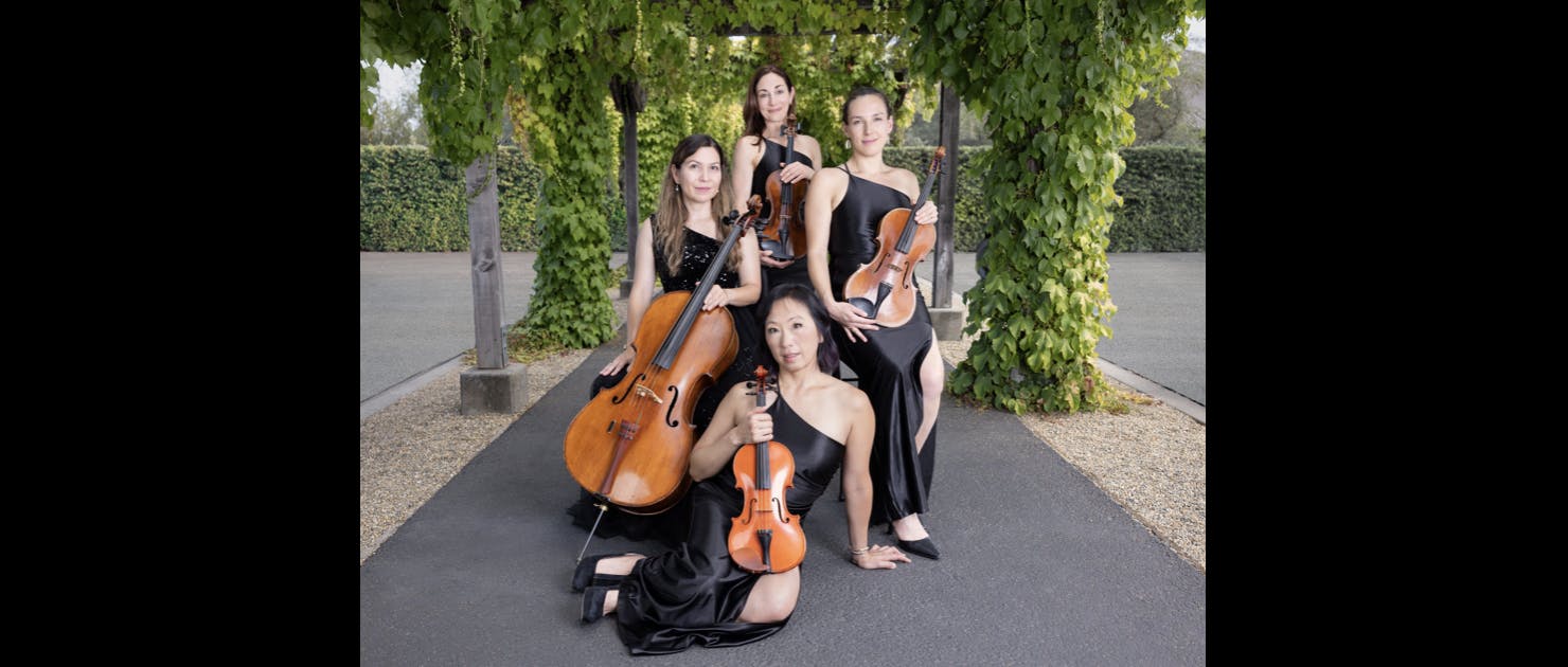 Featured photo from Synchronicity Strings
