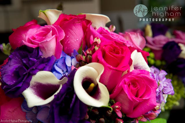 Cover photo of Flowers by Lisa