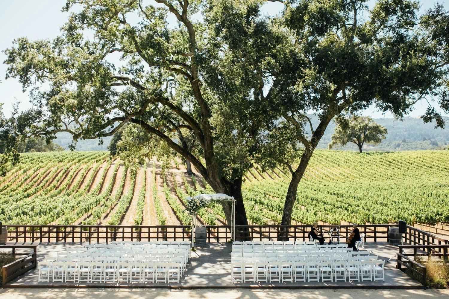 B.R. Cohn Winery | Glen Ellen Venue | All Events | 816 Photos On PartySlate