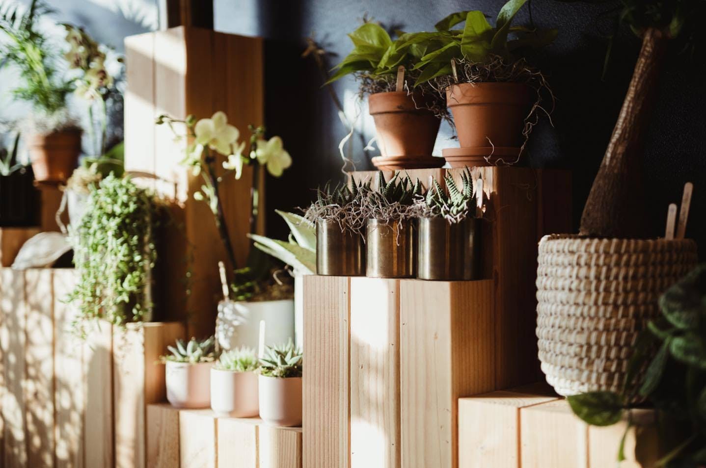 Featured photo from The Greenhouse 817