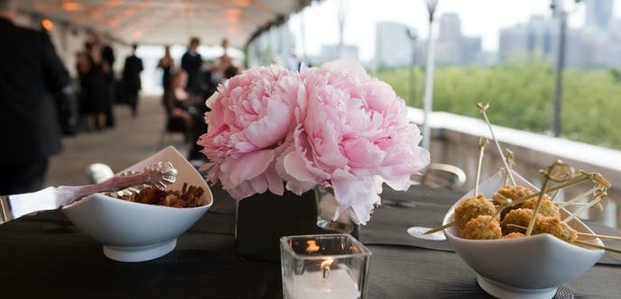 Shedd Aquarium Chicago Venue All Events 115 photos on PartySlate