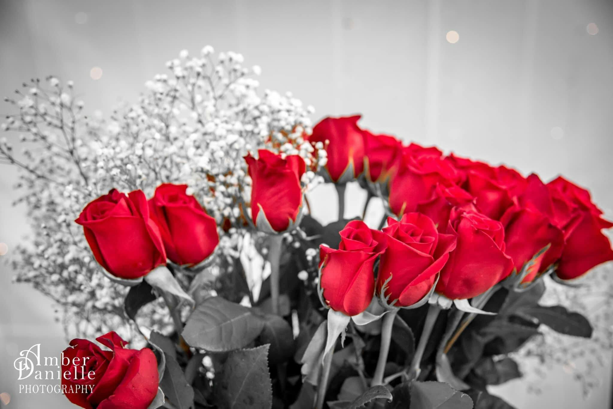 Featured photo from Amber Danielle Photography