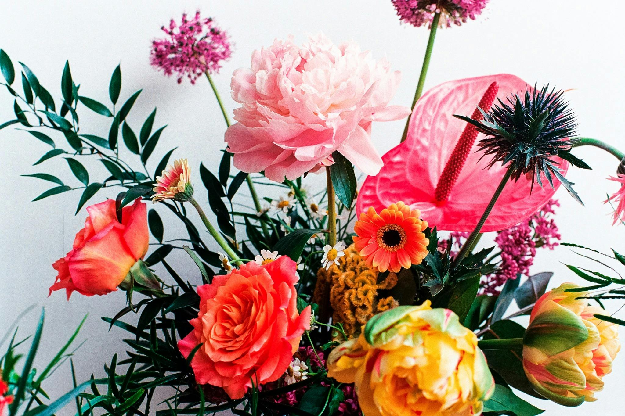 Featured photo from Stems Brooklyn