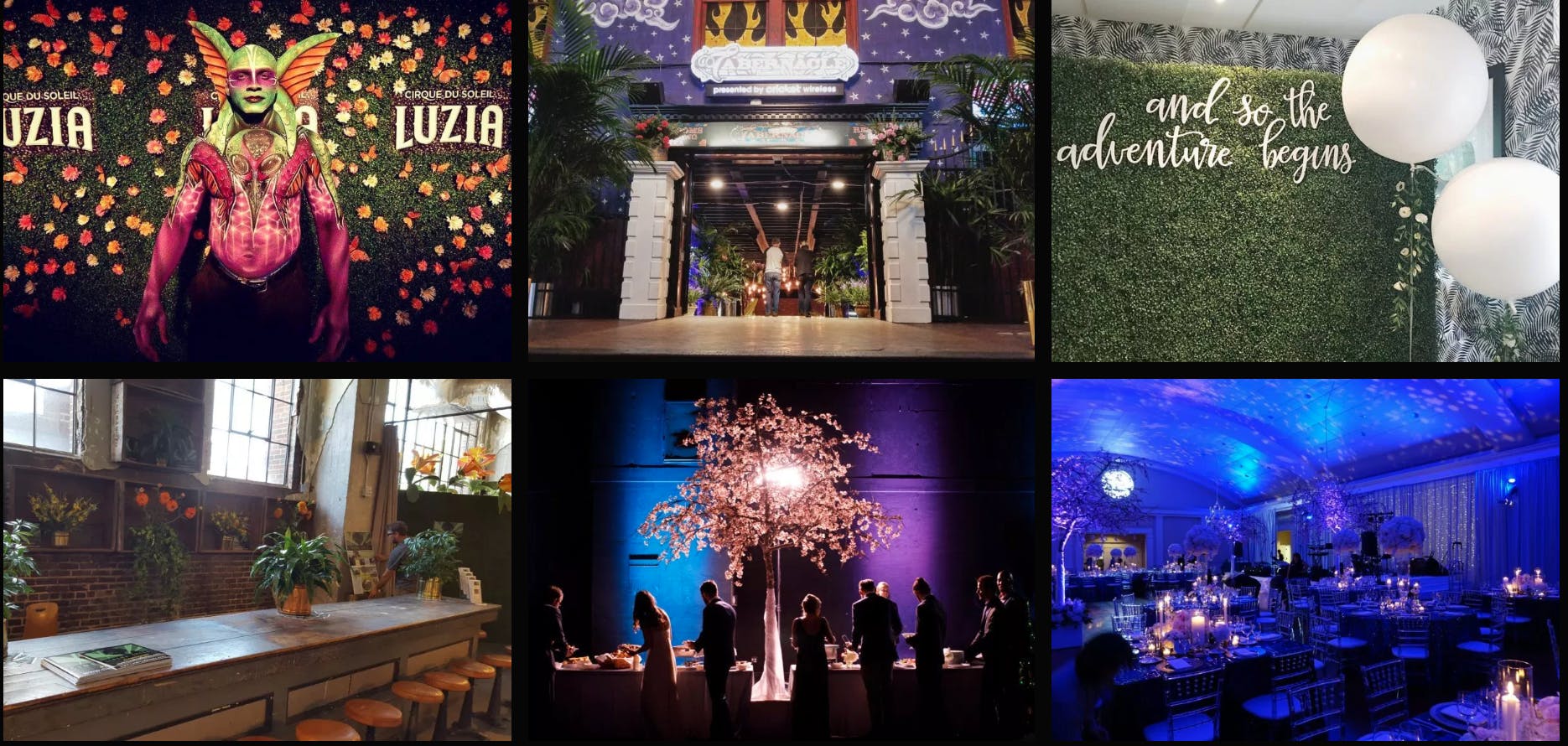 Cover photo of Cinema Greens