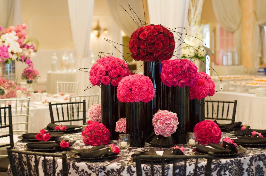 Featured photo from Petals With Purpose