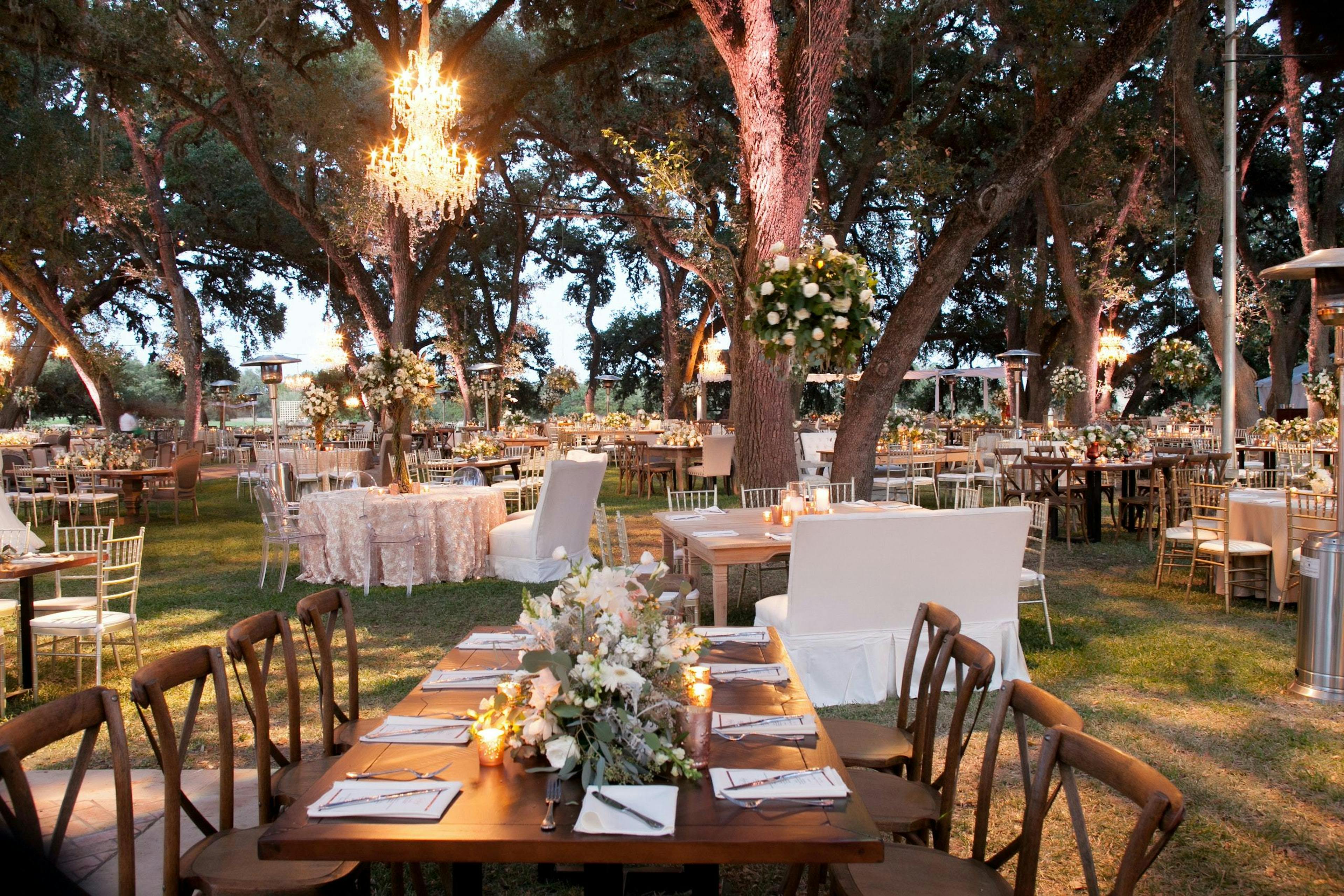 Cover photo of Ann Whittington Events