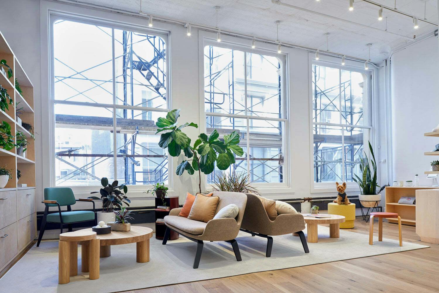 Featured photo from Soho Lofts