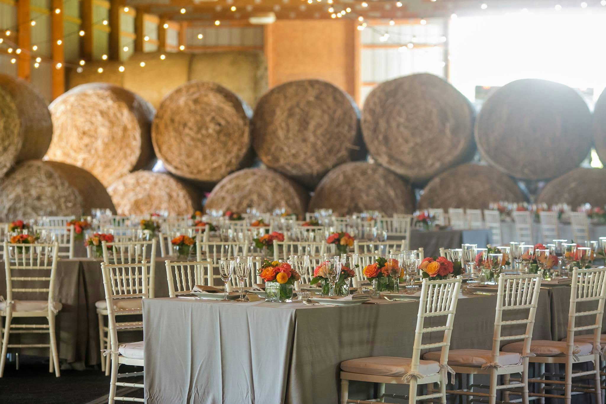 Featured photo from Fenwick Catering