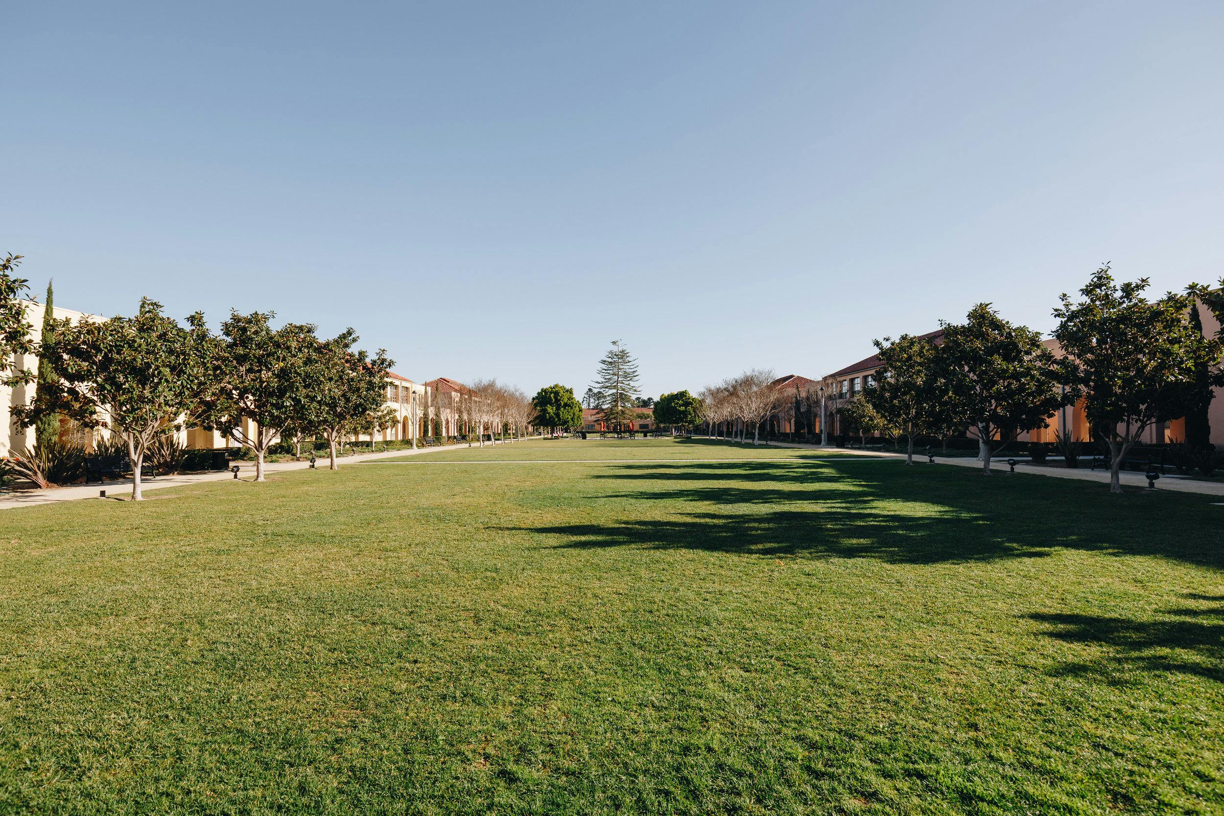 Featured photo from North Promenade