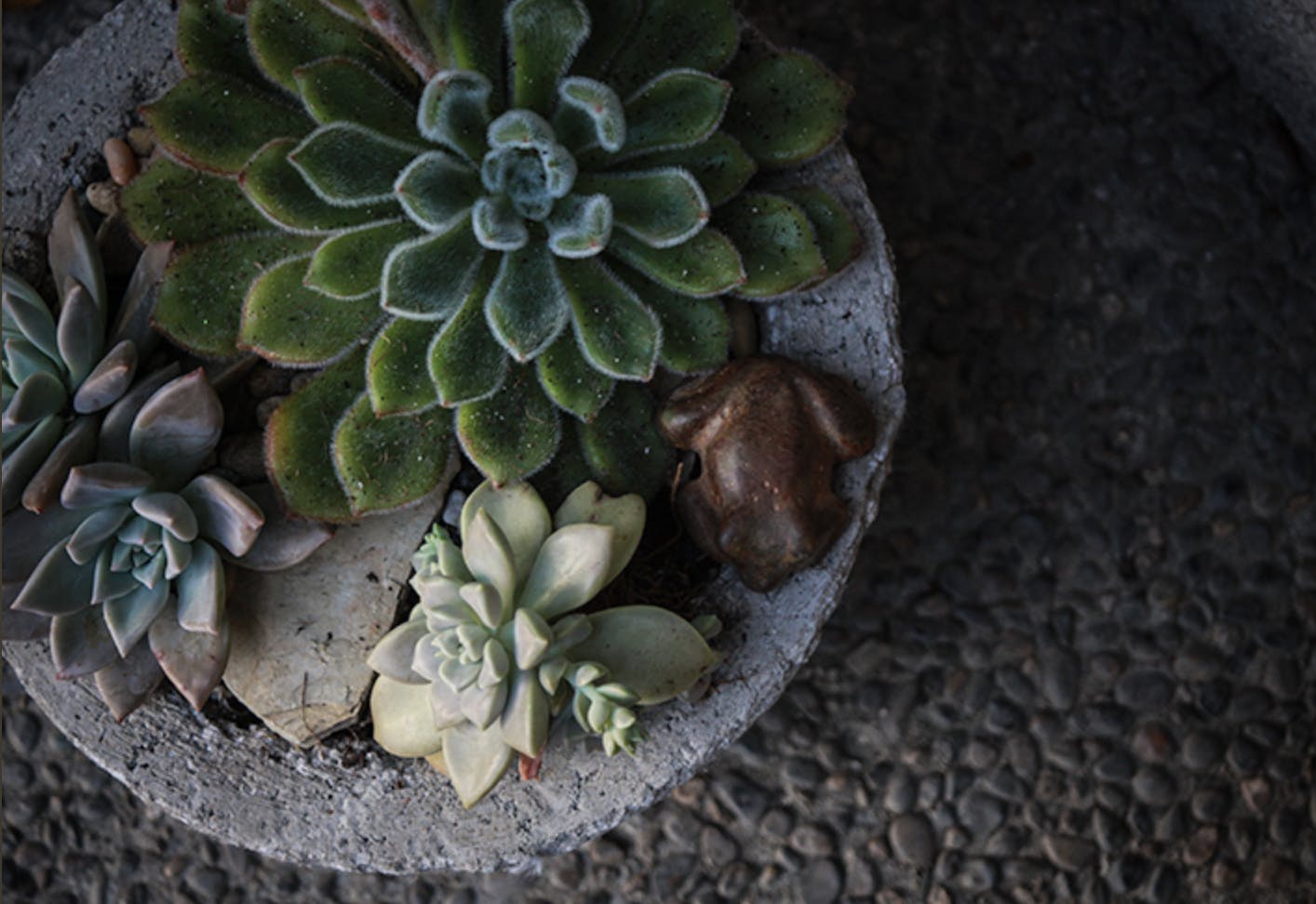 Cover photo of Emily Joubert