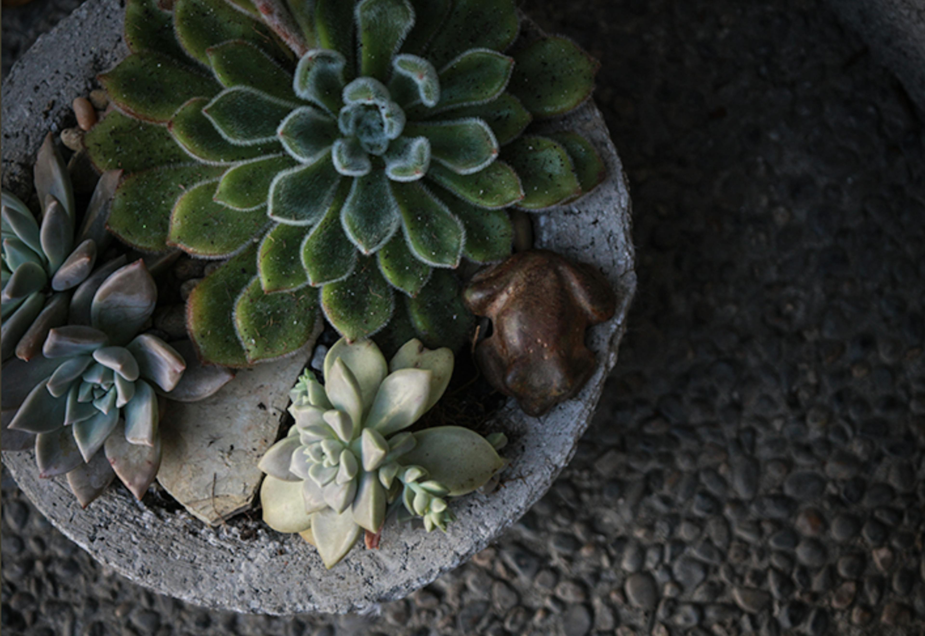 Cover photo of Emily Joubert