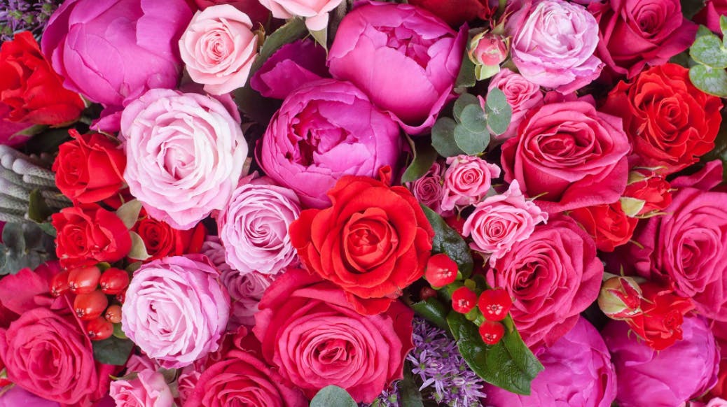 Featured photo from Violet's Florist