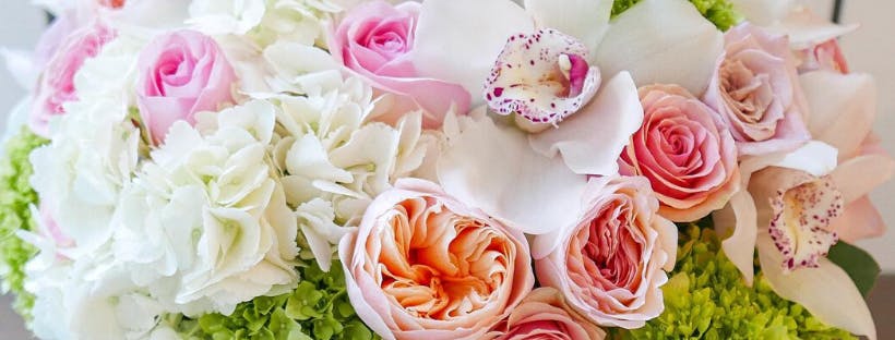 Featured photo from Scotts Flowers NYC