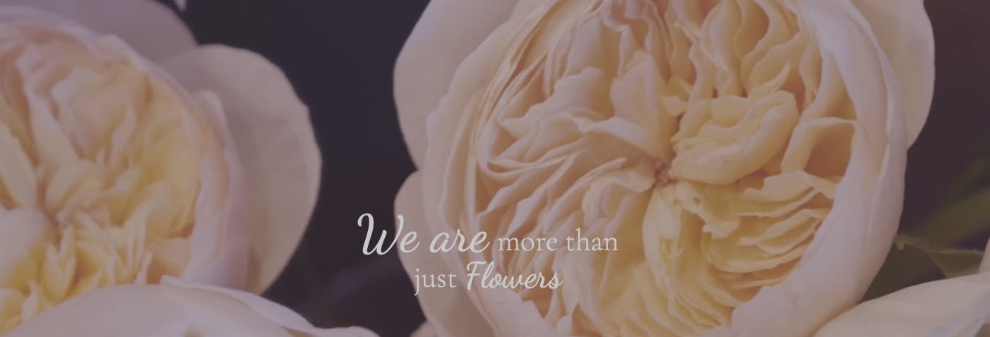 Featured photo from The Flower