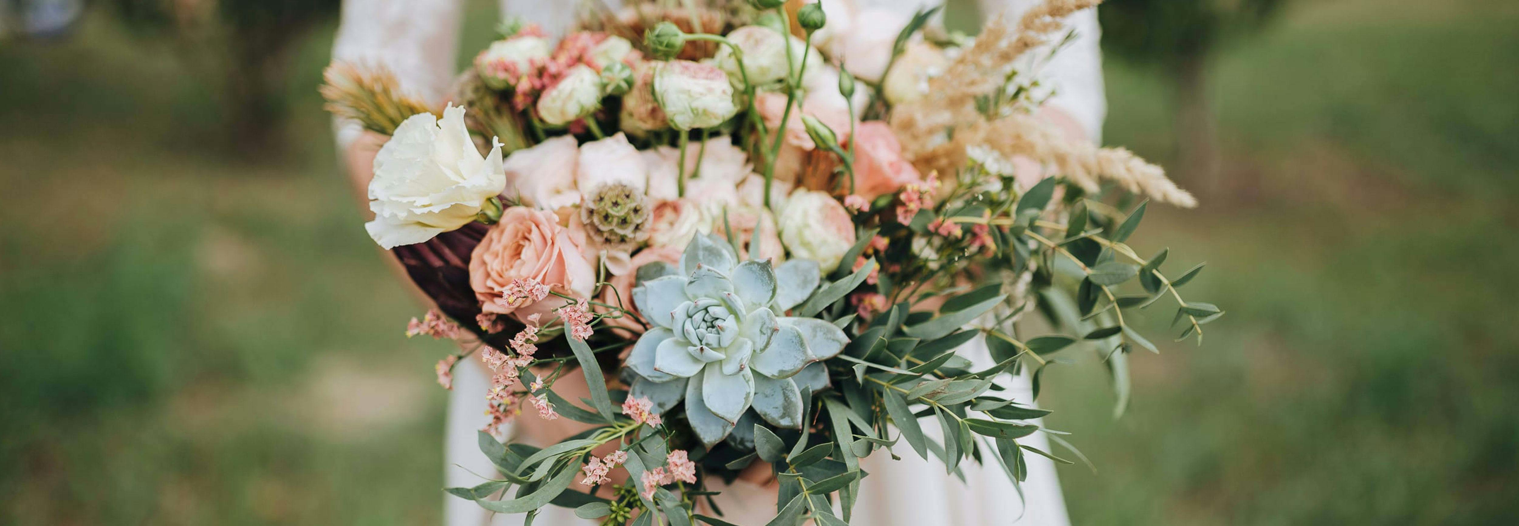 Featured photo from Bella Gardens